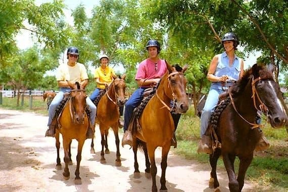 Paseo a caballo por la playa