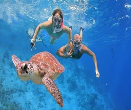 Una tortuga marina nada bajo el agua junto a dos personas con máscara de snorkel.