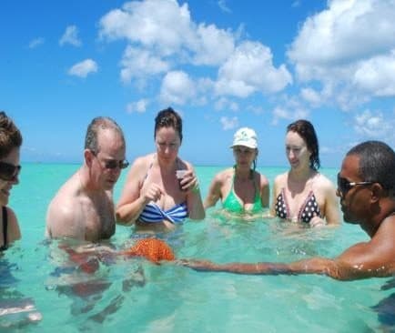 Un guía sostiene una estrella de mar anaranjada entre personas en agua turquesa poco profunda