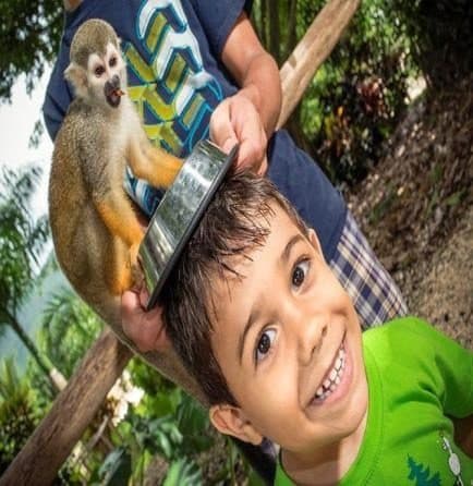 Mono ardilla junto a un cuenco que un adulto sostiene sobre la cabeza de un niño que sonríe.