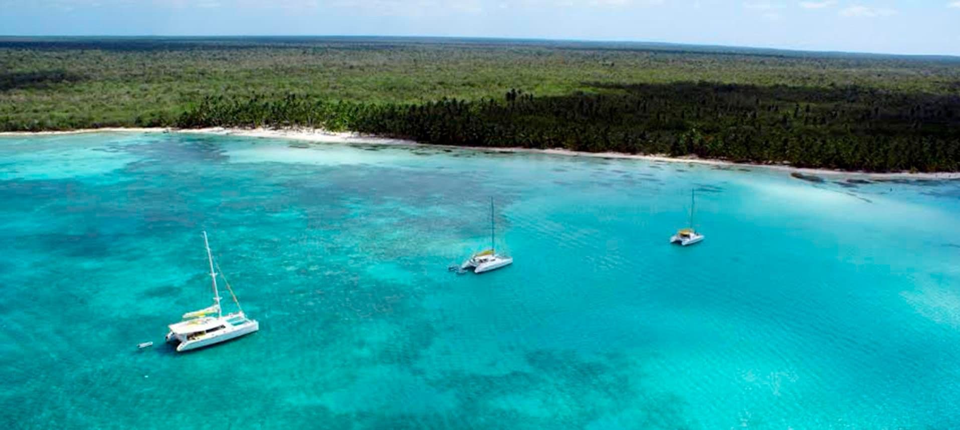 Catamaranes fondeados frente a una playa de palmeras, en agua turquesa