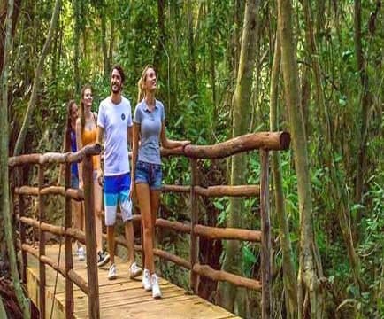 Cuatro personas caminan por una pasarela de madera con barandas de troncos en medio de un bosque.