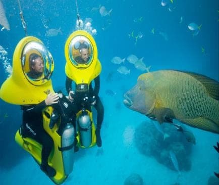 Dos personas en scooters submarinos amarillos junto a un pez grande
