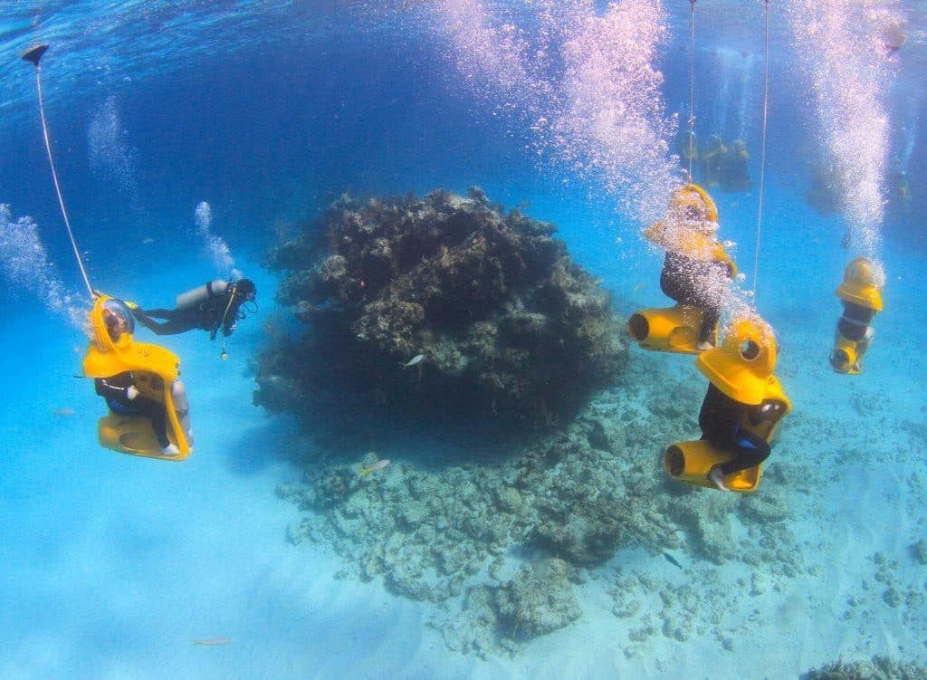 Scuba Doo Dive