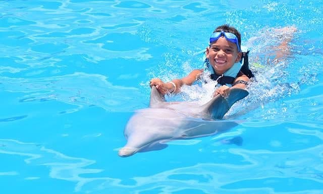 Nado con delfines